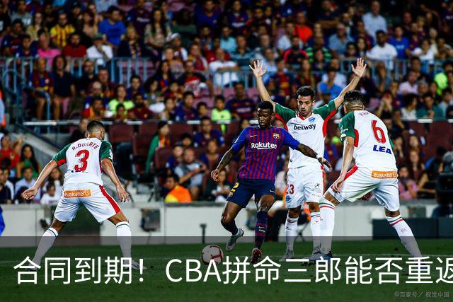 合同到期！CBA拼命三郎能否重返广东？期待辅佐徐杰、胡明轩