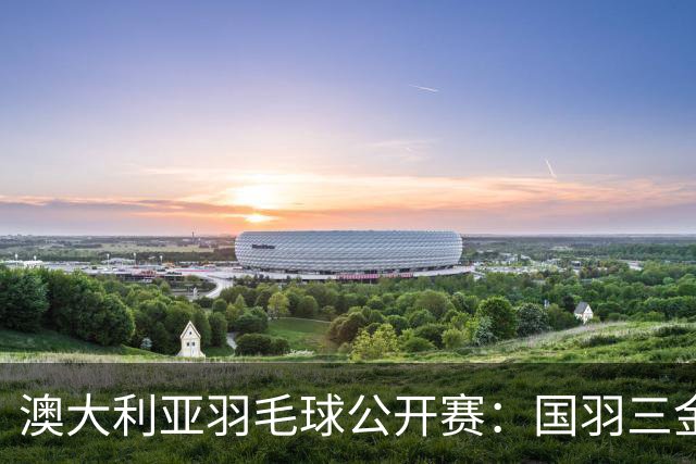 澳大利亚羽毛球公开赛：国羽三金两银收官